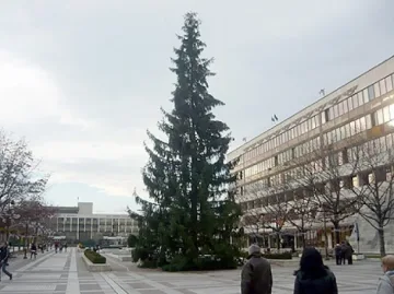 35-метрова елха грейва в Благоевград на 5 декември