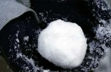 Бивше ченге отвлича дете заради снежна топка