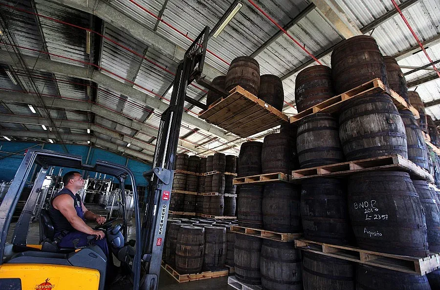 Избите първи за европари