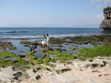 В Бали чужденецът може да е само шеф