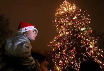 Запалваме светлините на коледната елха в столицата