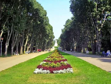 Искат спешно алея за коли  в  "Салтанат"