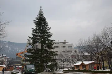 Украсяват 35-метрова елха в Благоевград