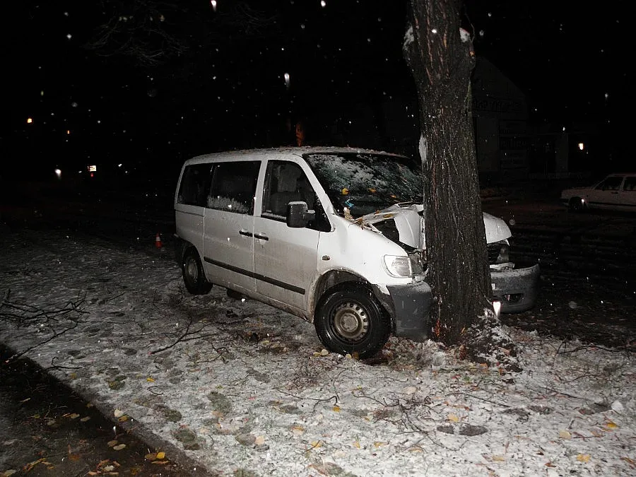 Осем ранени при удар на микробус в дърво