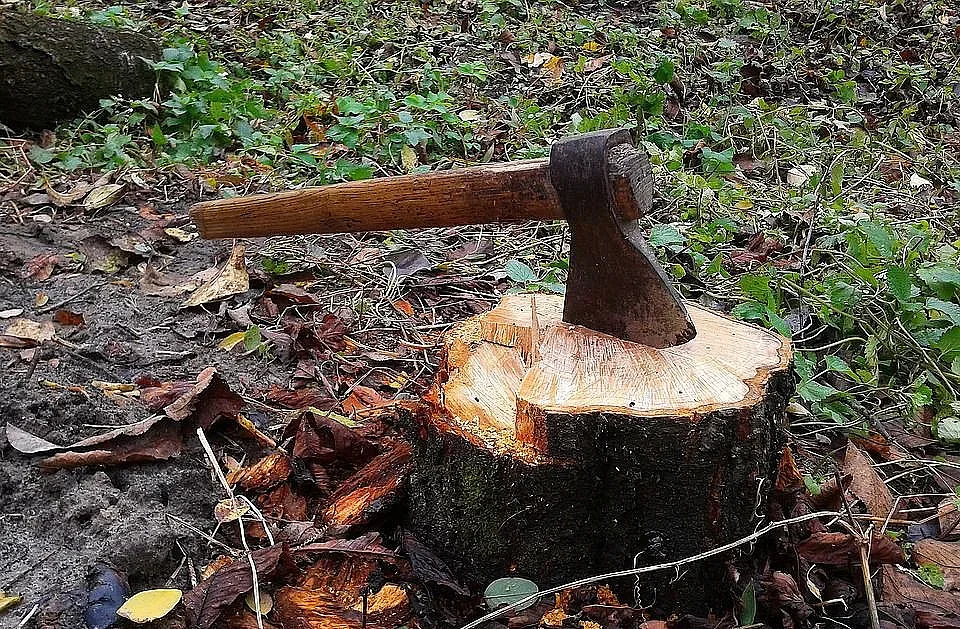 Жестоко убийство потресе България! Рецидивист грабна брадва и...