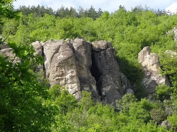 Тайните на Утробата