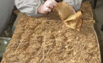 По-високи цени за тютюна очакват в Крумовградско