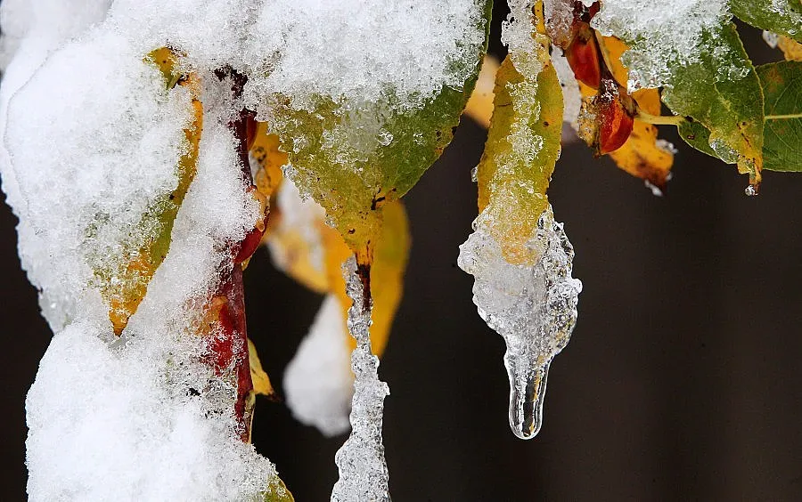 Снежната виелица в САЩ взе още жертви