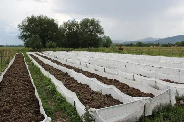 Млади фермери напират за червеи