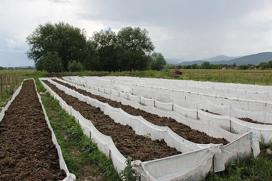 Млади фермери напират за червеи