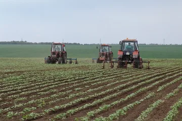 Цецо вече има орехова градина