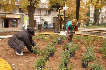Палят коледната елха на 1 декември в Стара Загора