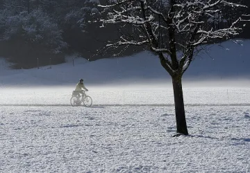 Сняг скова западените щати, 8 души загинаха
