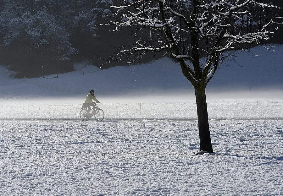 Сняг скова западените щати, 8 души загинаха