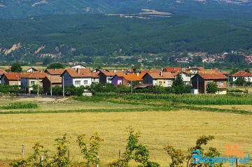Школо чества вековен юбилей