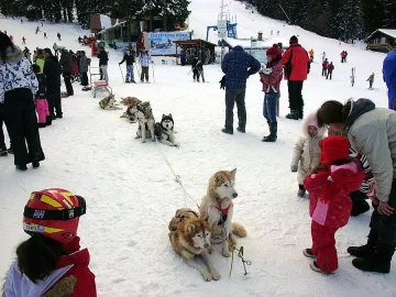 Хотелиери бранят лифта в Пампорово