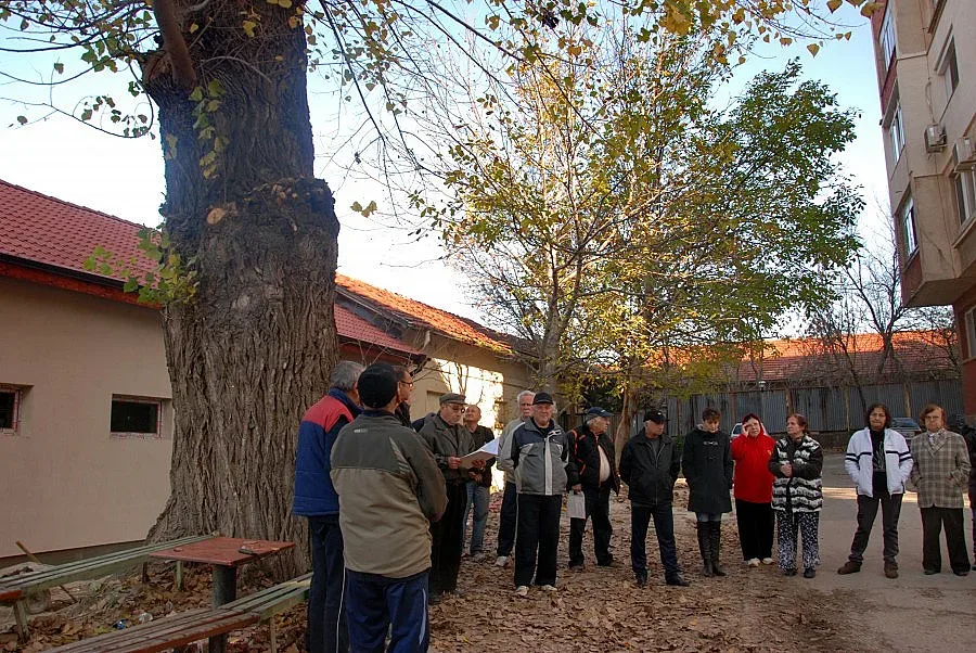 Ветерани бранят вековно дърво