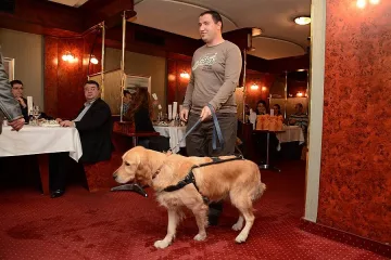 Вечеря на тъмно с кучета водачи