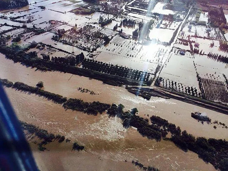 Клеопатра удави Сардиния (Обзор)