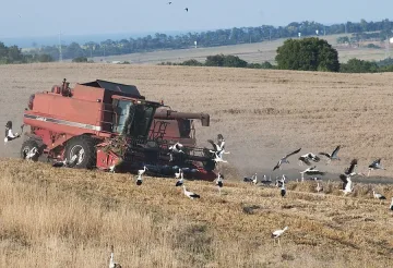 Атака започна подписка за земята