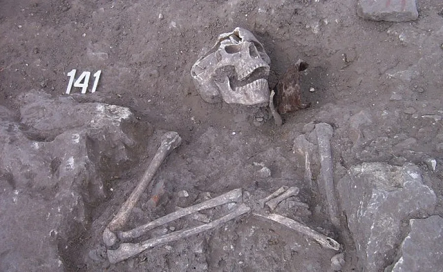 Японци снимат "Вампирите на България"