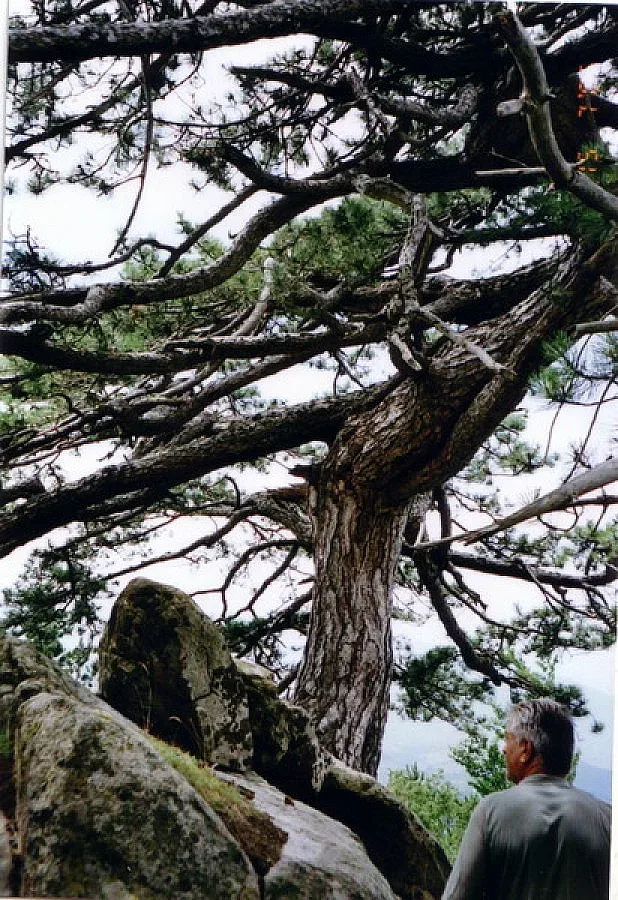 Туристи прегръщат магнетичен бор за лек и пречистване