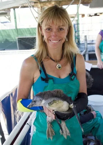 Микаела от BBC спасява пингвини