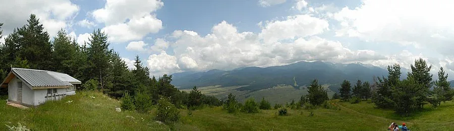 Наказват и горски директори в ЮЗДП