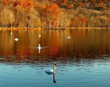Oблачно, с максимални температури между 9° и 14°