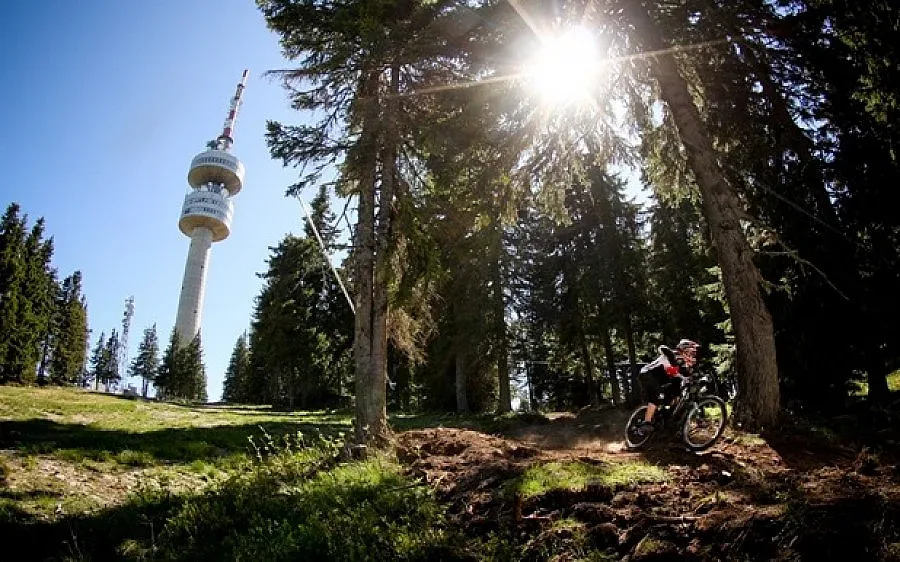 Бутат незаконен лифт в Пампорово 