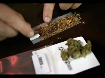 Намериха канабис у 18-годишен младеж