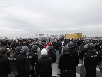 Решават за субсидиите на животновъдите