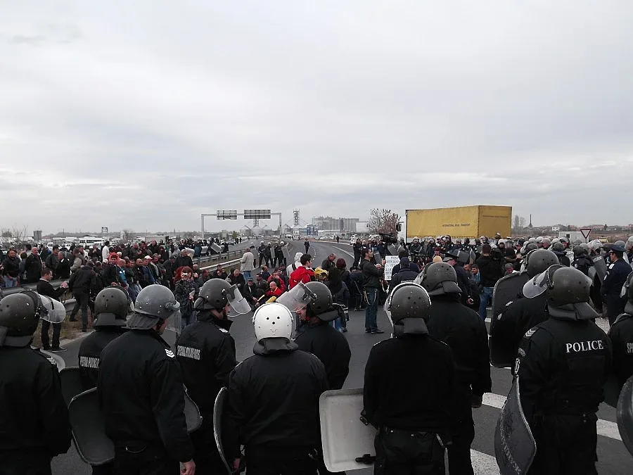 Решават за субсидиите на животновъдите