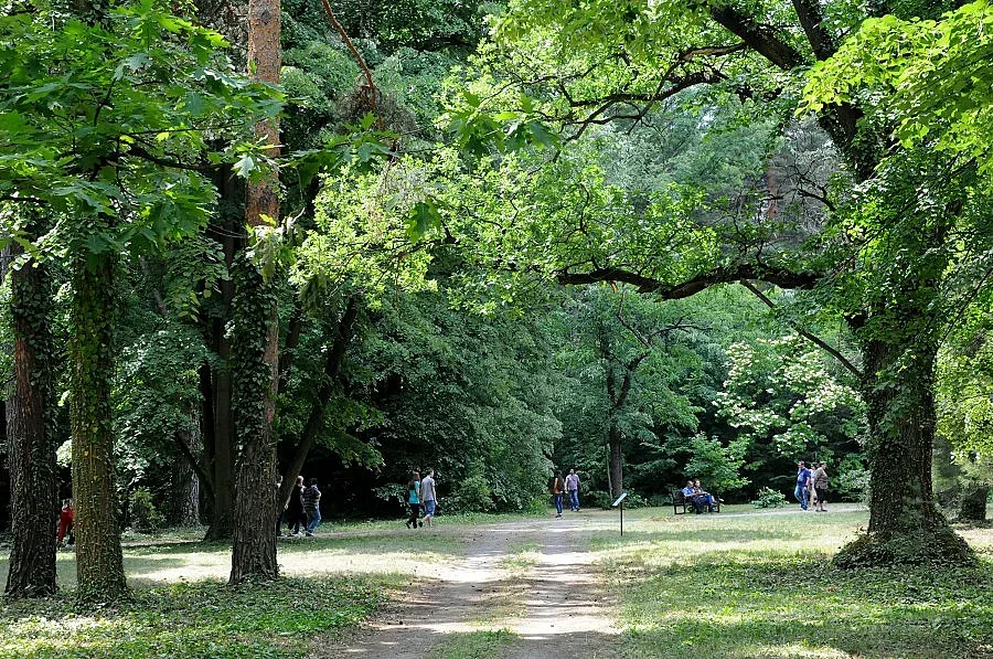 Засаждат над 450 фиданки в столицата