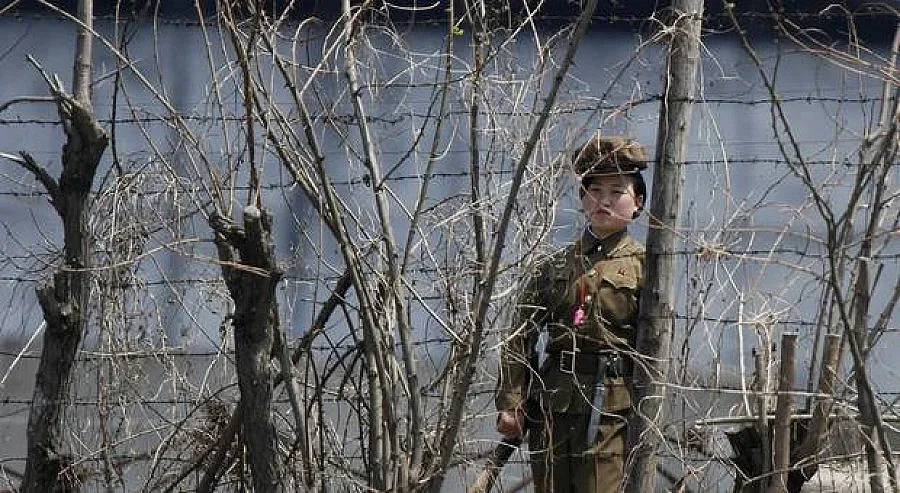 Пхенян екзекутирал 80 души за нелегални филми