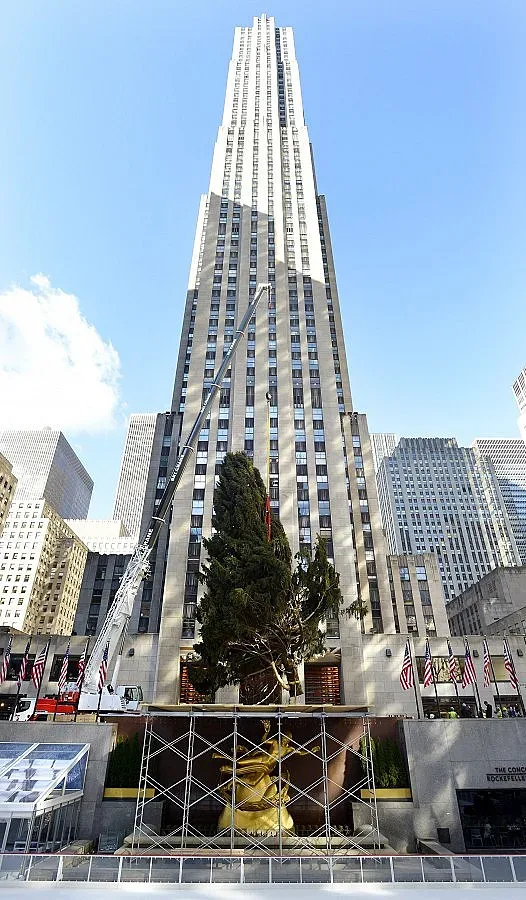 23-метрова елха украсява Ню Йорк (СНИМКИ)