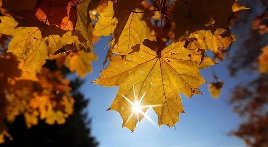 Предимно слънчево ще е времето утре