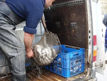 Бургас празнува Никулден като през 1930 г.