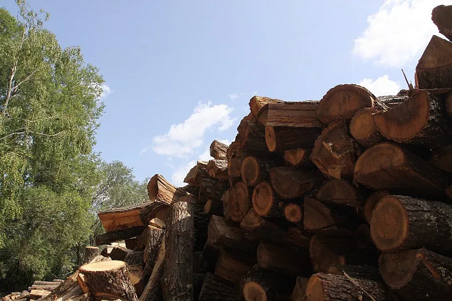 Недоволни жители блокират път в Старозагорско