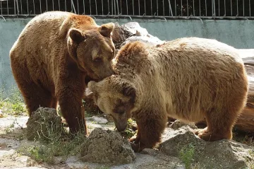 Гръмнал бойлер остави гладни животните в зоопарка във Варна