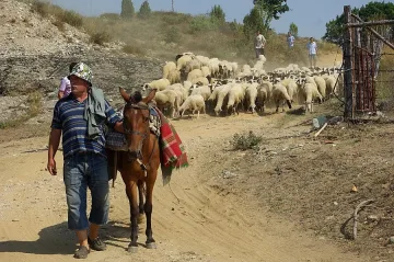 Тракия отново ще е блокирана от животновъди
