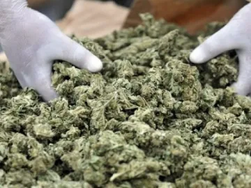 Спипаха канабис в „Опел”, трима в ареста