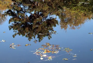 Топла и слънчева първа неделя от ноември