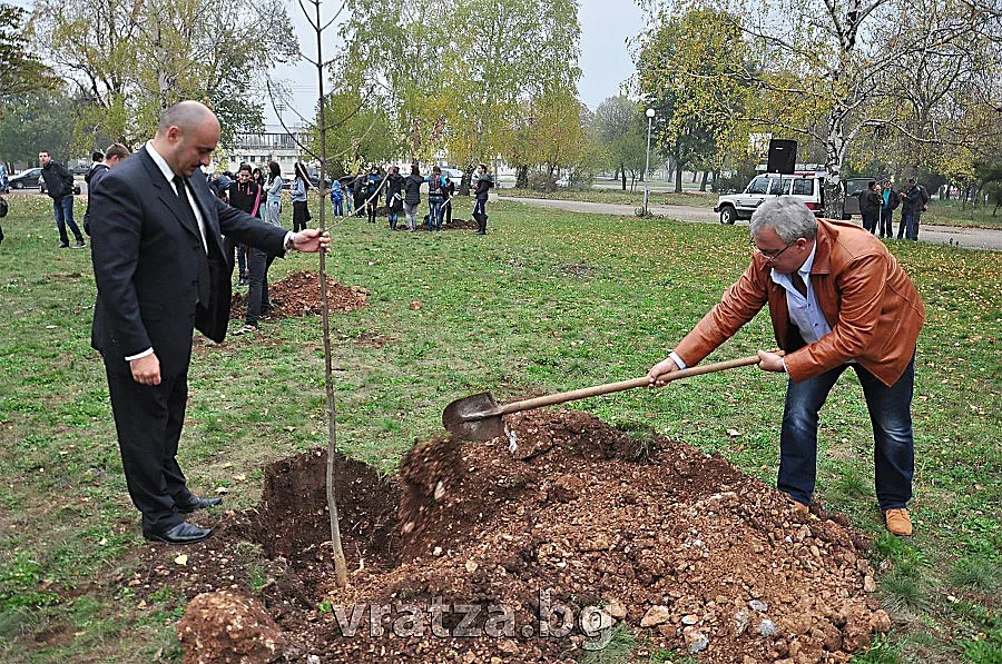 Софрониева гора избуява във Враца