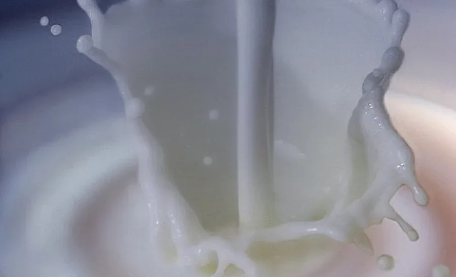 Измамен пастир отрови млякото на шефа си