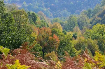 Облачно, с максимални температури между 15° и 20° 