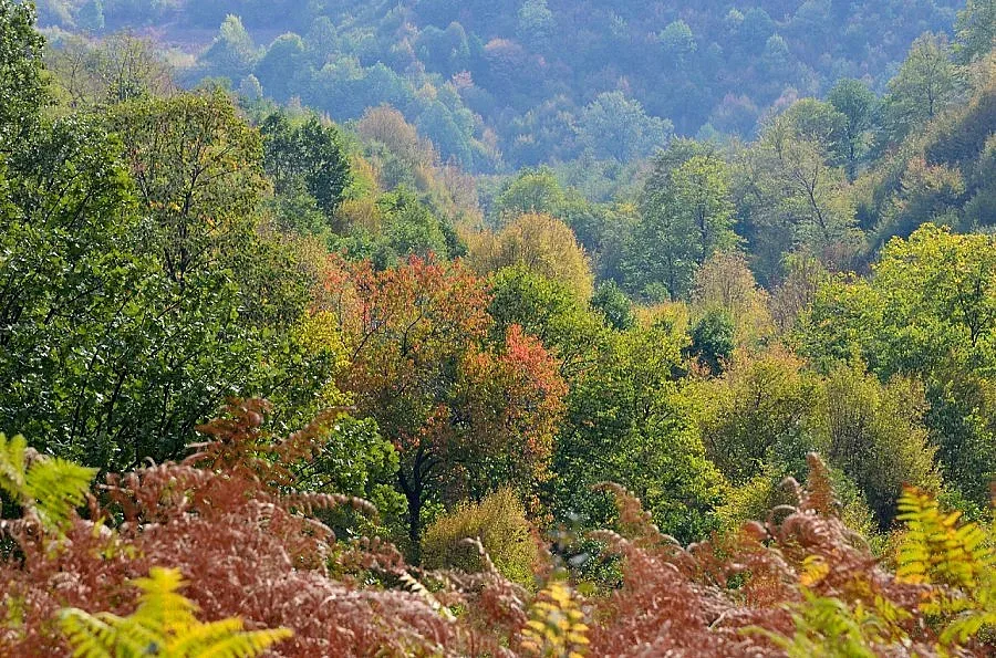 Облачно, с максимални температури между 15° и 20° 