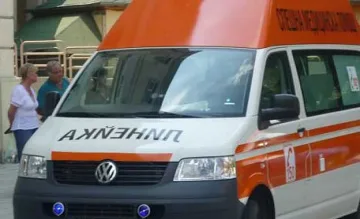 Дърво уби мъж пред очите на жена му и шурея му