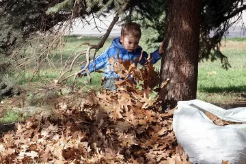 Разкъсана облачност в петък, идва хладен въздух