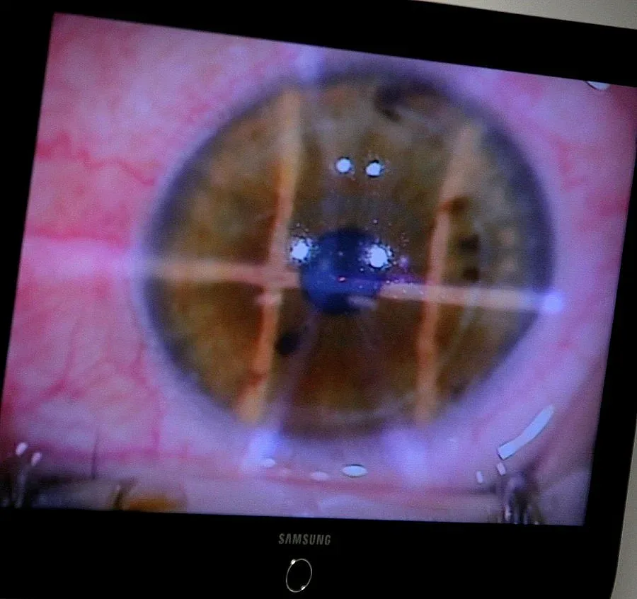 Махат "перде" с говорещ апарат